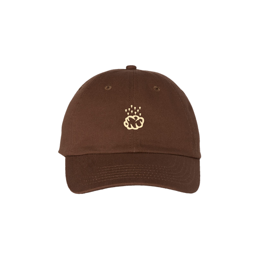 2026 Lofi Library Tour Dad Hat - Brown